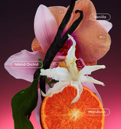 Skin Replenishing Body Wash - Opal Gallery Shower Selection
