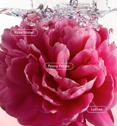 All Over Deo - Tidy Gallery Freshness Selection