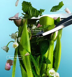 Daily Refresh Set - Lively Gallery Refresh Selection