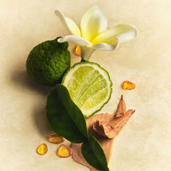 Skin Perfecting Body Lotion - Lucid Cupboard Body Selection